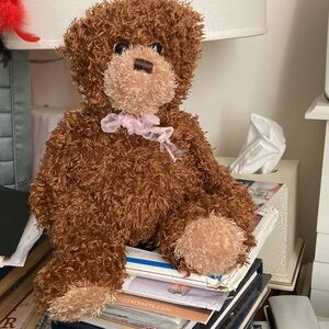 Vintage and rare TY classic 2010 shaggy bear.